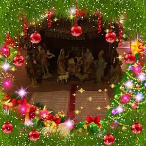 Meet your Posher, Sonya